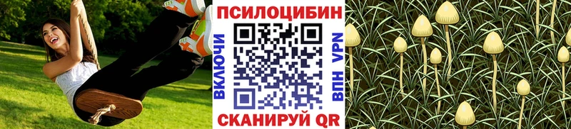 гидра зеркало  Киреевск  Псилоцибиновые грибы прущие грибы 
